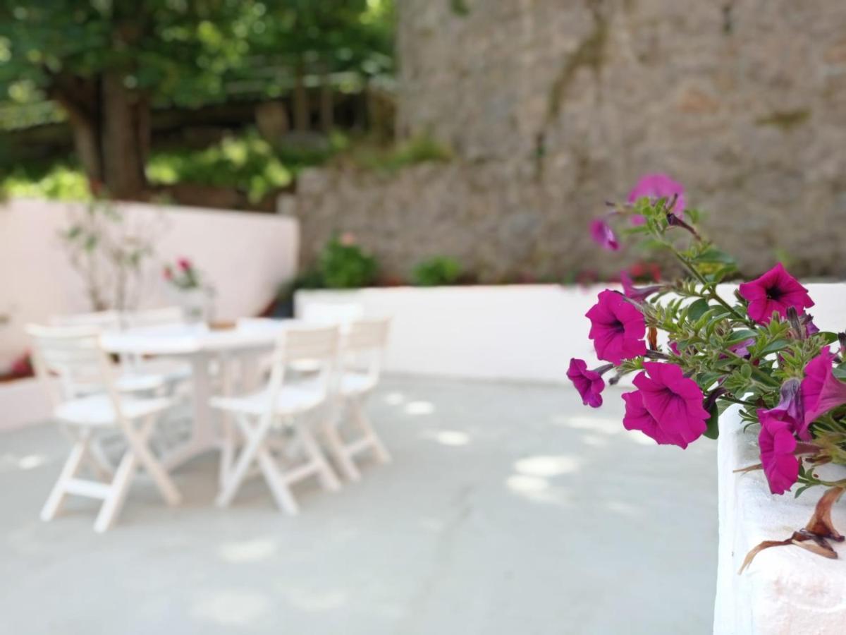 Easo Terrace Apartment Free Private Parking And Air Conditioning San Sebastián Zewnętrze zdjęcie